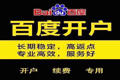 某品牌SEM广告投放的全程记录与效果分析